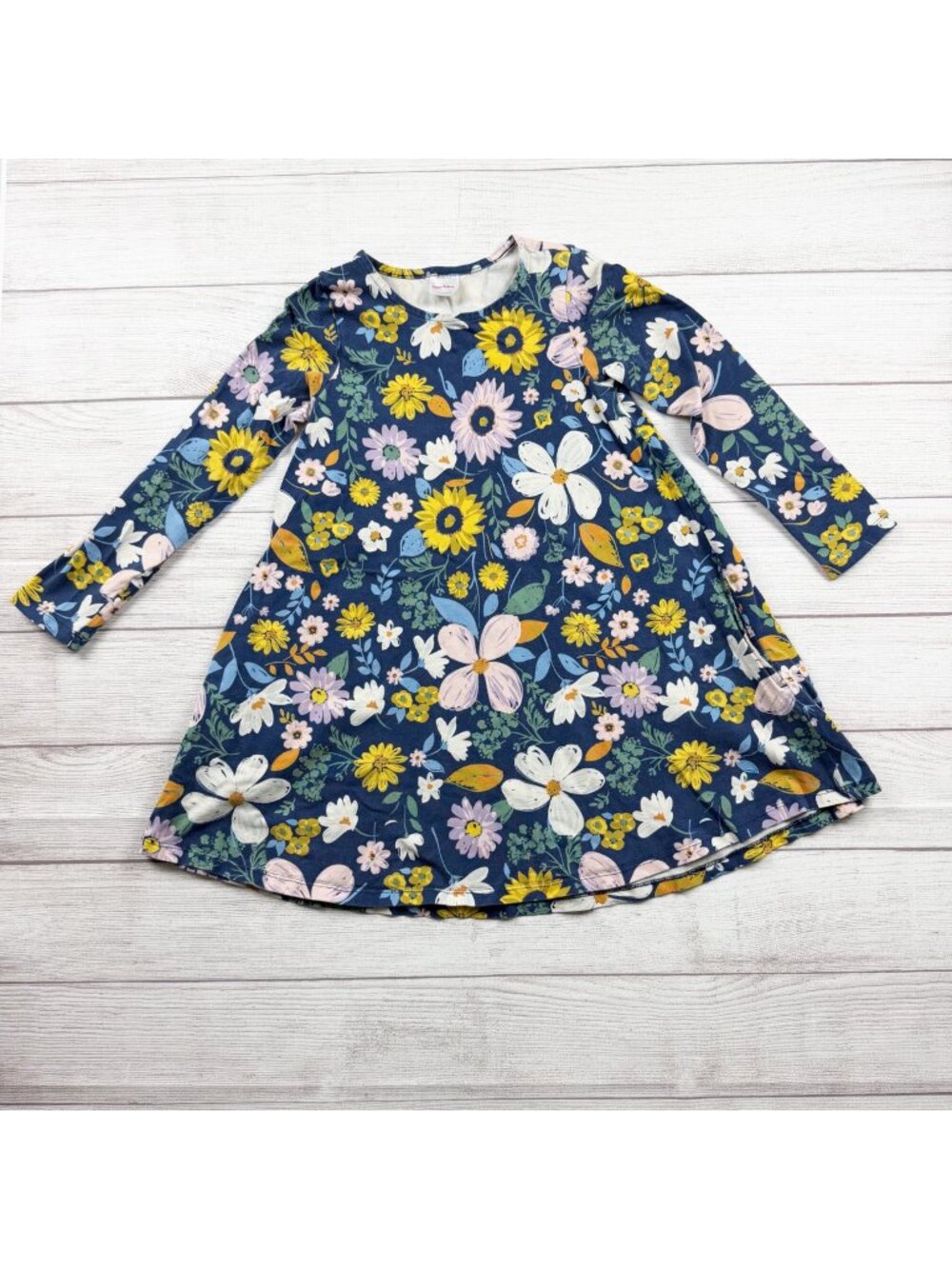 Hanna Andersson Girls Blue Floral Print Long Sleeve Pocket Dress 8